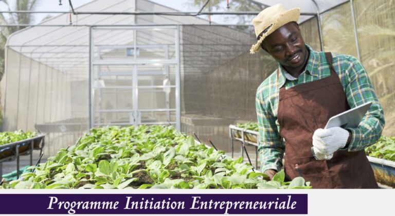 Programme Initiation Entrepreneuriale
